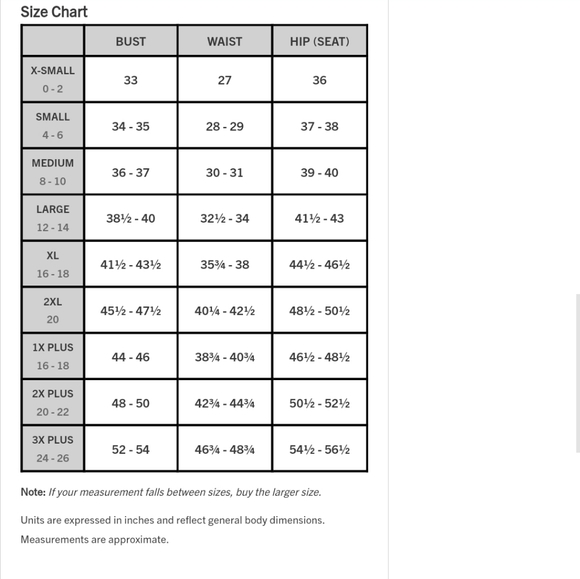 Carhartt RUGGED FLEX® RELAXED FIT DENIM RAILROAD STRIPE BIB OVERALLS - Picture 14 of 14